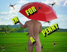 In for a Penny