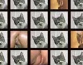 Pussy-cats